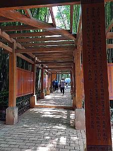 Kunming - Parc Cuihu - 35
